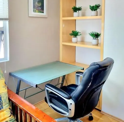 Grande Y Comodo Departamento En La Condesa Appartement